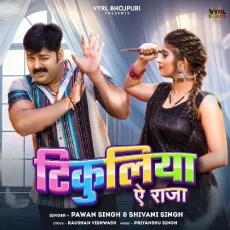 Tikuliya Ae Raja - Pawan Singh, Shivani Singh MP3 Songs
