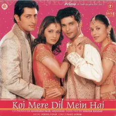 Mujhse Dosti Karoge - Koi Mere Dil Mein Hai - Anuradha Paudwal, Udit Narayan MP3 Songs