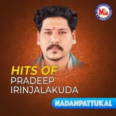 Penne Nin Chiriyil - Pradeep Irinjalakuda MP3 Songs