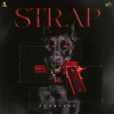 STRAP - Zehr Vibe MP3 Songs