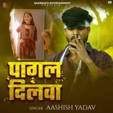 Pagal Dilwa - Aashish Yadav MP3 Songs