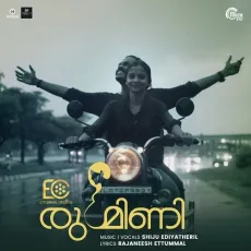 Mura Thetti - Shiju Ediyatheril MP3 Songs