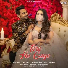 Tere Ho Gaye - Saaj Bhatt - Saaj Bhatt, Namita Choudhary MP3 Songs