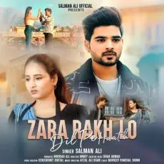Zara Rakh Lo Dil Pe Haath - Salman Ali - Salman Ali MP3 Songs