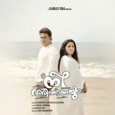 Nee Erinjanayum - Shamseer Chavakkad, Shaiba C K, Sibu Sukumaran MP3 Songs