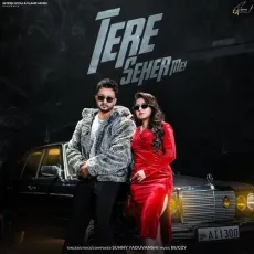Tere Seher Me - Sunny Yaduvanshi - Sunny Yaduvanshi MP3 Songs