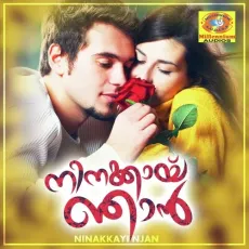 Kannum Kannum - Vineeth Sreenivasan, Akhila Anand MP3 Songs
