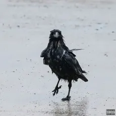 Dependent Kauve - Emiway Bantai - Emiway Bantai MP3 Songs