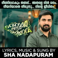 NEENGIPPOKUM THANAL - Sha Nadapuram MP3 Songs