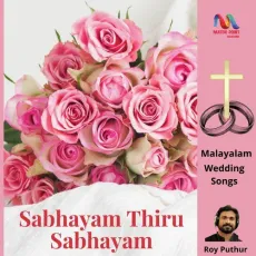 Sabhayam Thiru Sabhayam - Roy Puthur MP3 Songs