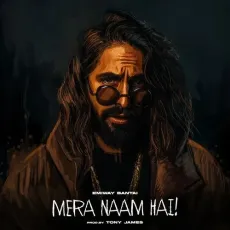 Mera Naam Hai - Emiway Bantai MP3 Songs
