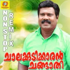 Nhanoondealiyanum - Kalabhavan Mani MP3 Songs