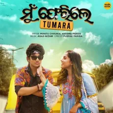Mu Ferile Tumara - Mantu Chhuria, Aseema Panda MP3 Songs