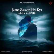 Jaana Zaroori Hai Kya - Amit Kumaran - Amit Kumaran, Alka Yagnik, Abhishek Mishra, Samarth Saxena MP3 Songs
