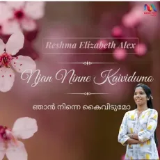Njan Ninne Kaividumo - Reshma Elizabeth Alex MP3 Songs