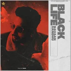 Black Life - Navaan Sandhu MP3 Songs