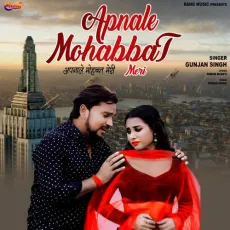 Apnale Mohabbat Meri (Sad Song) - Gunjan Singh MP3 Songs