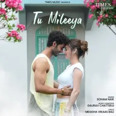 Tu Mileeya - Gaurav Chatterji - Gaurav Chatterji, Soham Naik, Meggha Bali MP3 Songs