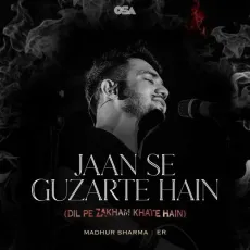Jaan Se Guzarte Hain (Dil Pe Zakham Khate Hain) - Madhur Sharma, Er MP3 Songs