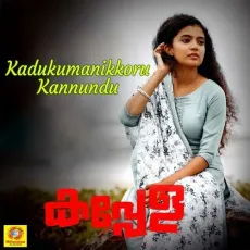 Kadukumanikkoru Kannundu - Sushin Shyam, Sithara Krishnakumar MP3 Songs