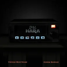 Dil Hara - Azeem Shirazi - Azeem Shirazi, Vikram Montrose MP3 Songs