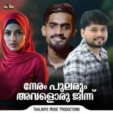 Neram Pularum Avaloru Jinnu - Haneefa Kasaragod (Haneefa KSD) MP3 Songs