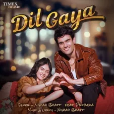 Dil Gaya - Nishad Bhatt - Nishad Bhatt, Priyanka MP3 Songs
