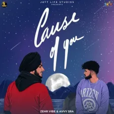 Cause Of You - Zehr Vibe, Avvy Sra MP3 Songs