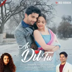 Ae Dil Tu - Shaan - Shaan, Palak Muchhal MP3 Songs