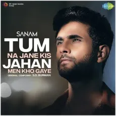 Tum Na Jane Kis Jahan Men Kho Gaye - Sanam MP3 Songs