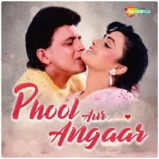 Aashiq Pukaro Awaara Pukaro - Phool Aur Angaar - Anu Malik, Abhijeet MP3 Songs