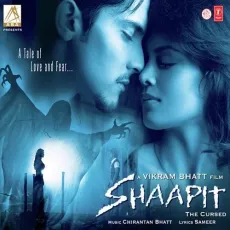Hayaati Ye Hayaati Kehati - Shaapit - Chirantan Bhatt, Najam Sheraz, Aditya Narayan, Hamza Faruqui MP3 Songs