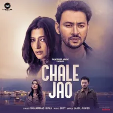 Chale Jao - Mohammed Irfan - Mohammed Irfan, Gufy MP3 Songs
