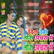 Dil Debo Tora Anchra Me - Banshidhar Chaudhari MP3 Songs