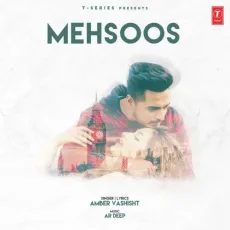 Mehsoos - AR Deep, Amber Vashisht MP3 Songs