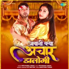Jawani Kya Achaar Dalogi - Neelkamal Singh MP3 Songs