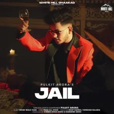 Jail - Pulkit Arora, Ritika Rai MP3 Songs