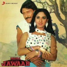 Aa Bhaitha Hoon Dar Pe Tere - Mera Jawaab - Manhar Udhas, Anuradha Paudwal MP3 Songs