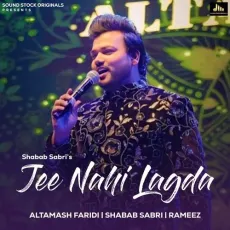 Jee Nahi Lagda - Altamash Faridi - Altamash Faridi, Shabab Sabri, Rameez MP3 Songs