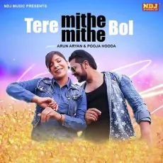 Tere Mithe Mithe Bol - Pawan Pilania MP3 Songs