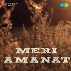 Pyari Pyari Chhai Ghata - Meri Amanat - Meenakshi MP3 Songs