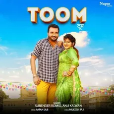 Toom - Surender Romio, Anu Kadyan MP3 Songs