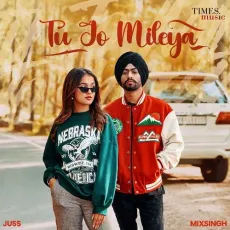 Tu Jo Mileya - Juss, Mixsingh MP3 Songs
