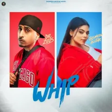 Whip - Jasmeen Akhtar, Dr Zeus MP3 Songs