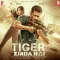 Tiger Zinda Hai
