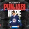 Punjabi Hype - DJ Sanj
