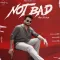 Not Bad Guntaj Dandiwal Ft Sardar Sidhu Sewak Raipur - Guntaj Dandiwal MP3 Song Download