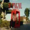 O Pagal (feat. Jasmeen Akhtar) - MEAVIN Listen Or Download