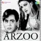 Jao Sidharo He Radha Ke Shyam - Arzoo