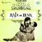 Tu Kitni Achhi Hai - Raja Aur Runk